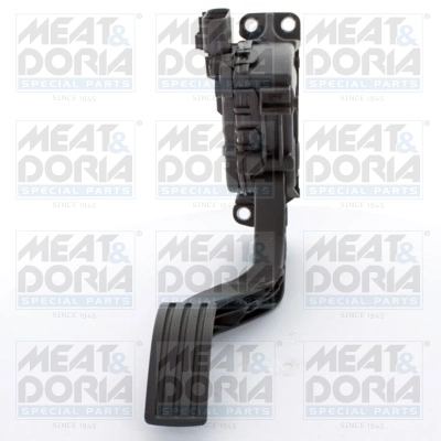 Accelerator Pedal Unit
